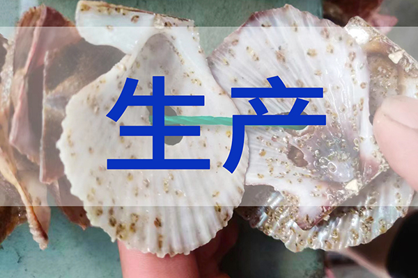 最新速遞：前沿三倍體苗種生產(chǎn)順利進(jìn)行中