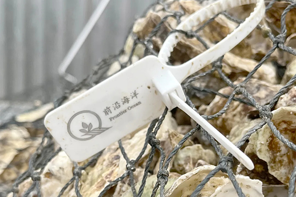 前沿三倍體苗“賦碼掛牌”供應(yīng)